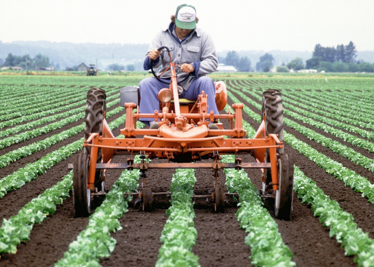 Support is growing for Canadian farmers! FPT Ag Ministers are improving #AgriStability in 2025 to help manage trade and climate challenges. djb.com/2025/07/improv… #FarmingCanada #AgTrade