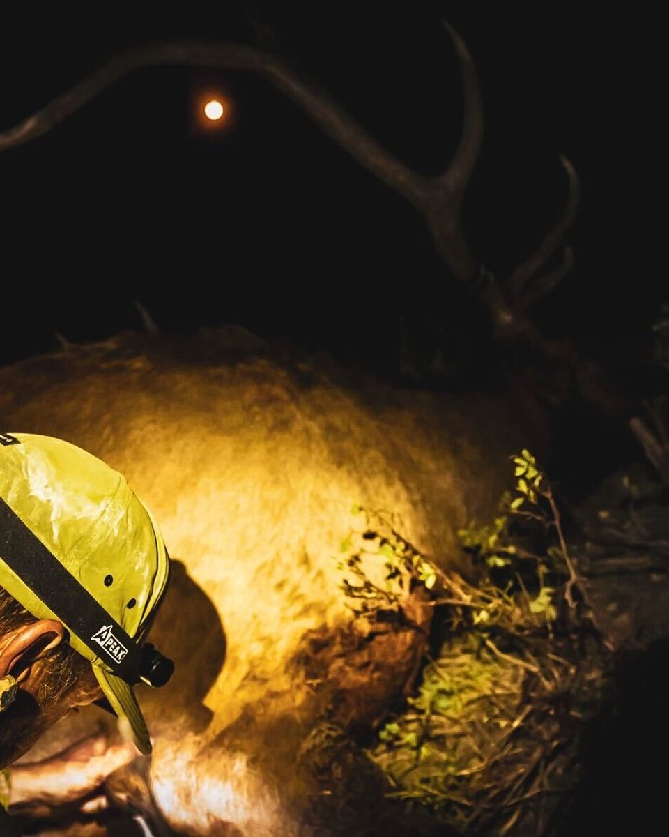 GOHUNT's tweet image. Elk tags are in our sights. But before we step off the line, the gear’s gotta be dialed.
#gohunt