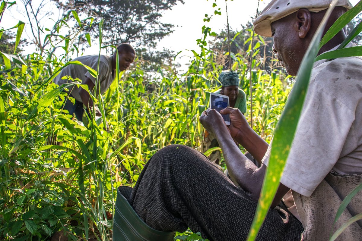 etherisc's tweet image. 🔗 Chainlink oracles power Etherisc's parametric insurance, delivering real-time weather data for instant payouts.
From Kenya to Zimbabwe, we're protecting farmers with transparent, on-chain solutions.
What's the next blockchain use case? #Chainlink #ParametricInsurance