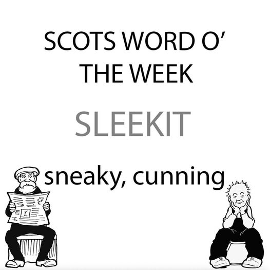 HillbillyHighl1's tweet image. "Ah wouldnae believe word he says, he's jist too sleekit tae believe."