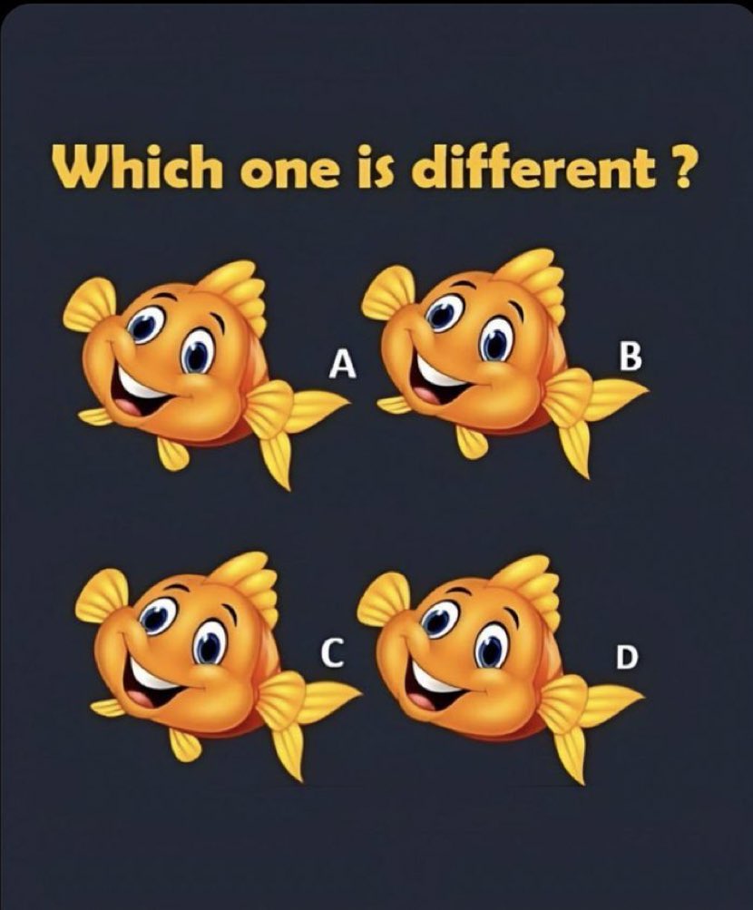 Elonpappy's tweet image. Eye test
No one has got the correct answers so far
Correct answer wins $10,000