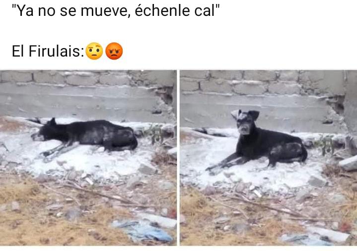 elpavitometich's tweet image. Jajajajaja no me blokien😢😭