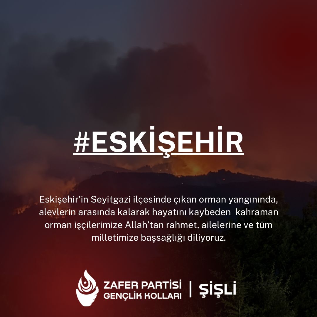 Şişli İlçe Başkanlığı Gençlik Kolları (@zpsisligenc) on Twitter photo 