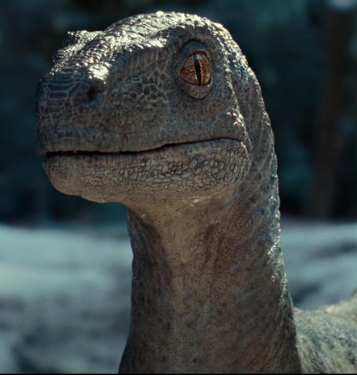 StevenRayMorris's tweet image. Raptor Jesus @sjrpod