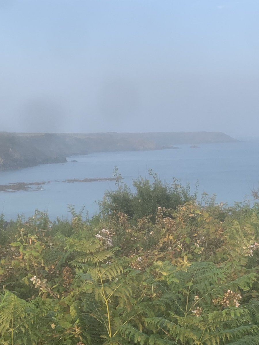 GavinM_onair's tweet image. Cornwall you have been stellar!