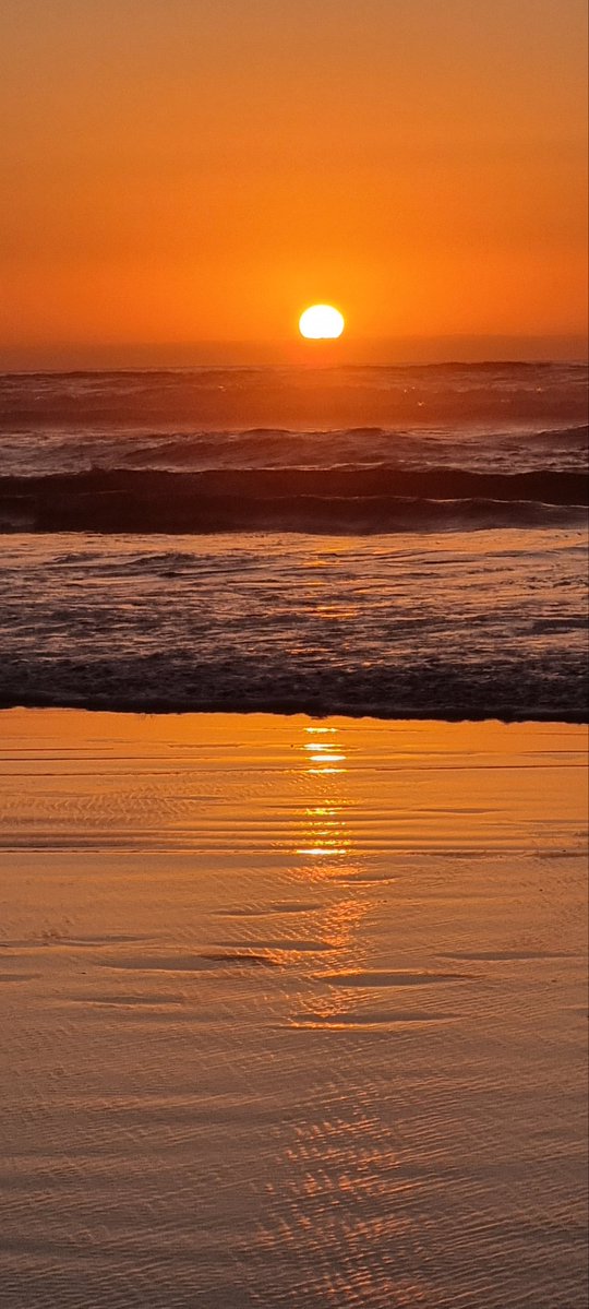 zaidimed68's tweet image. Good evening !!💚🤍❤️
A fresh sunset pic for today !!
Happy wednesday .
📸Zmed.