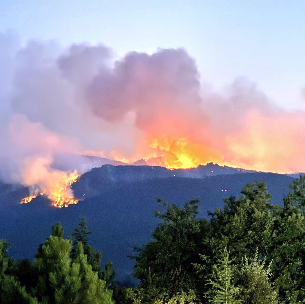 Eskişehir Seyitgazi'de çıkan orman yangınını söndürme çalışmaları  esnasında  alevlerin arasında kalarak hayatlarını kaybeden 11 orman  emekçimize Allah'tan rahmet, acılı ailelerine sabır diliyorum.

Milletimizin başısağolsun🙏
#Eskisehir