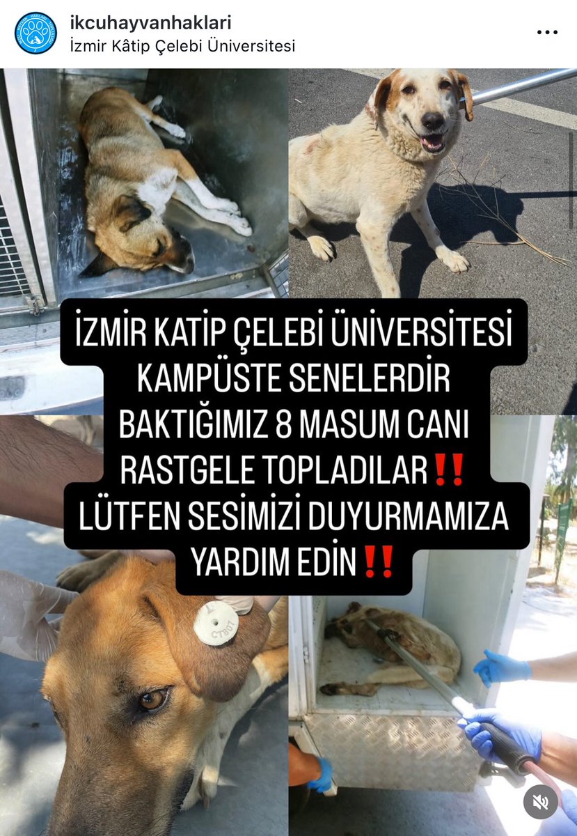 <a href="/DokuzOlmaz/">OnNumara</a> Lütfen sesimizi duyurmamıza yardımcı olun