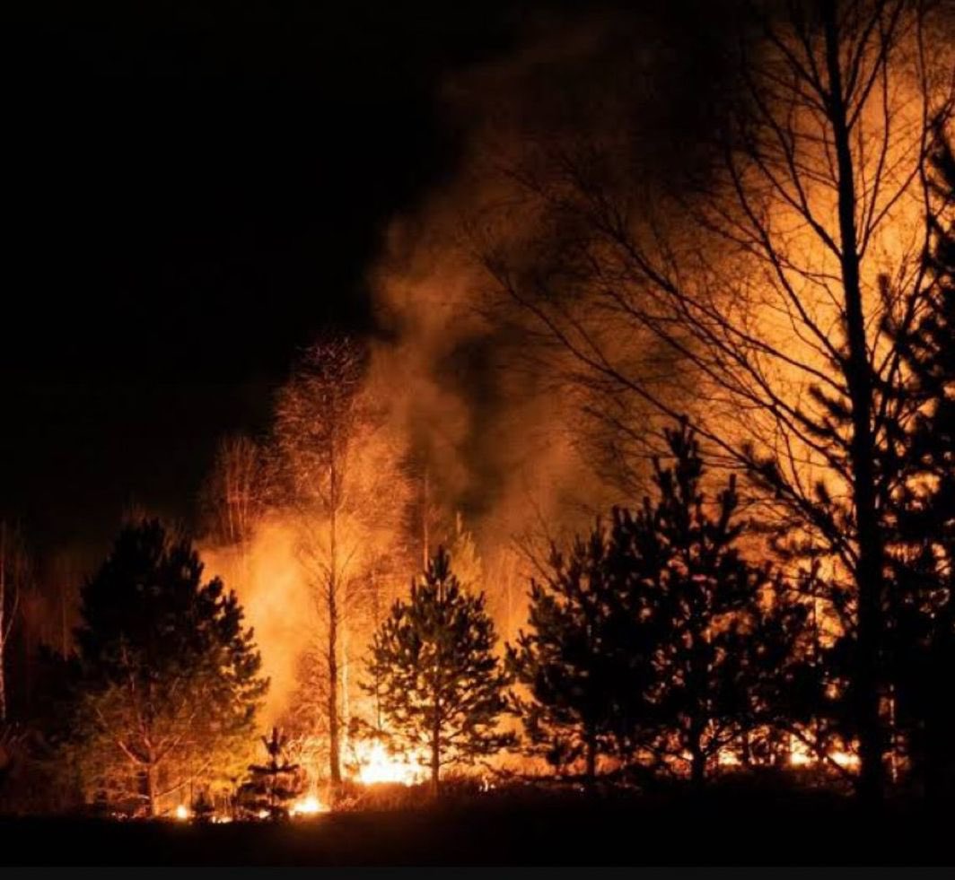 Orman yangınıyla mücadele ederken şehit düşen kahramanlarımıza Allah’tan rahmet, ailelerine ve milletimize sabır diliyorum.
Bu vatan sizin fedakârlığınızı asla unutmayacak.