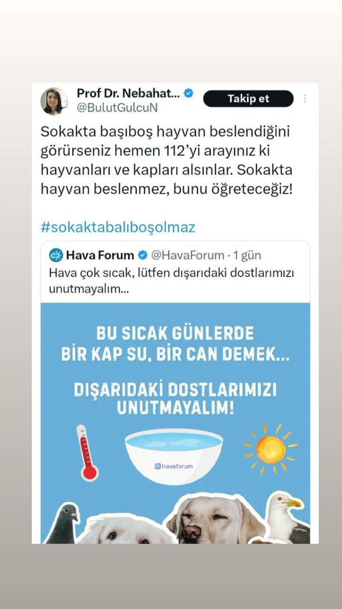 Bu şeytanlara inat yarın herkes kapısının önüne bir kap su bıraksın, merhameti size öğreteceğiz.
🙏🐾🌺

#SokakHayvanlarıSahipsizDeğil 
#Eskisehir
#ormanyangını