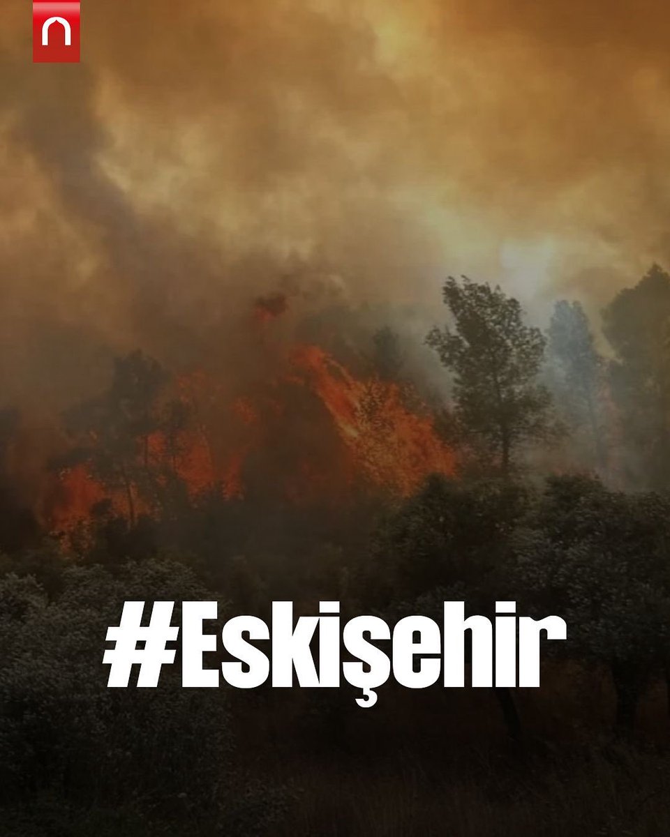 onderihl's tweet image. Eskişehir’in Seyitgazi ilçesinde çıkan orman yangınında ormanlarımızı, geleceğimizi korumak uğruna alevlerin içine yürüyen 11 kahraman orman işçimizi kaybettik. Şehitlerimize Allah’tan rahmet, ailelerine sabır diliyoruz.
#eskişehir