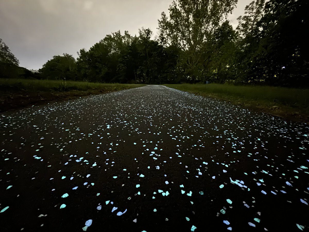 IndyDPW's tweet image. Indy just got brighter...literally ✨ The new $7.2M stretch of Pogue's Run Trail glows in the dark and runs through Spades Park and Brookside. It won a 2025 ACEC Merit Award and is perfect for a walk, run, or ride any time of day 🌞🌙