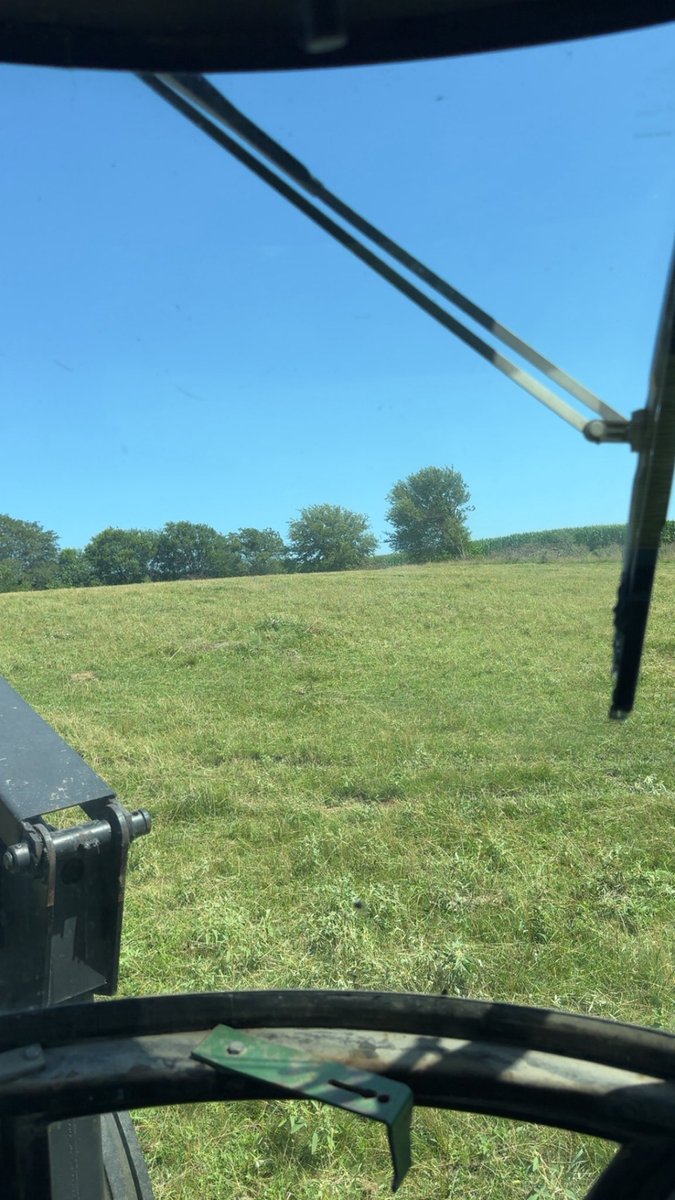 tgmiller46's tweet image. Sprayed this spring to kill multiflora rose bushes looks much better now mowed off
