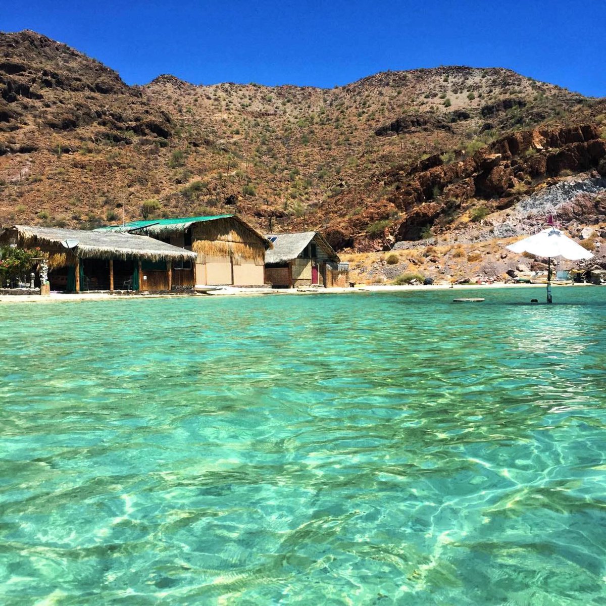 PostBajaSur's tweet image. 🌵Playa El Burro, un paraíso en Mulegé, #BCS