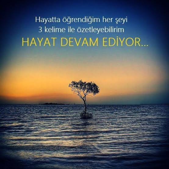 Ali Bilgin (@alibilgin113) on Twitter photo 