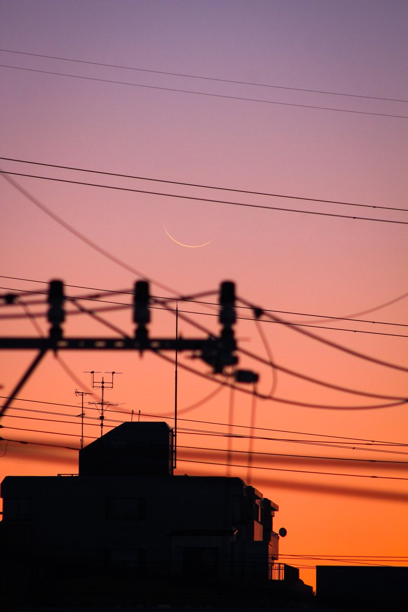 hiy_twinkle's tweet image. 金星 木星から辿った低空に
儚く凛とした晦日月みつけた