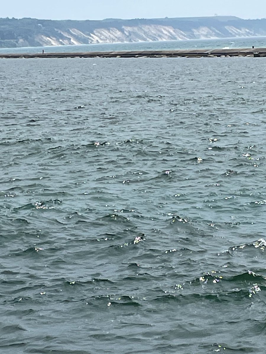 KenFoxTruth's tweet image. Current view