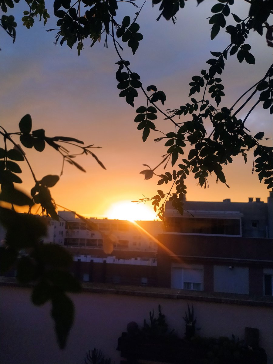 Tramasturies's tweet image. Estoy viendo la puesta de sol y oliendo el jazmín mecido por el viento mientras la selección española de fútbol lucha por #Euro2025 😉Ni tan mal...
¡Suerte campeonas! 🇪🇸