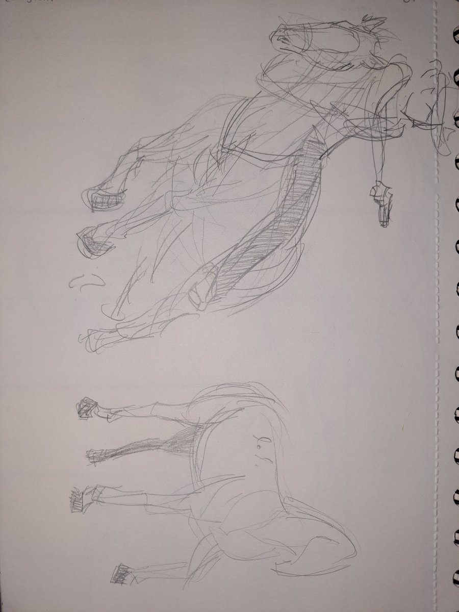 adoadoniis's tweet image. wanted to make an illustration involving a horse, here's some of my studies/sketches trying to understand how on earth they work