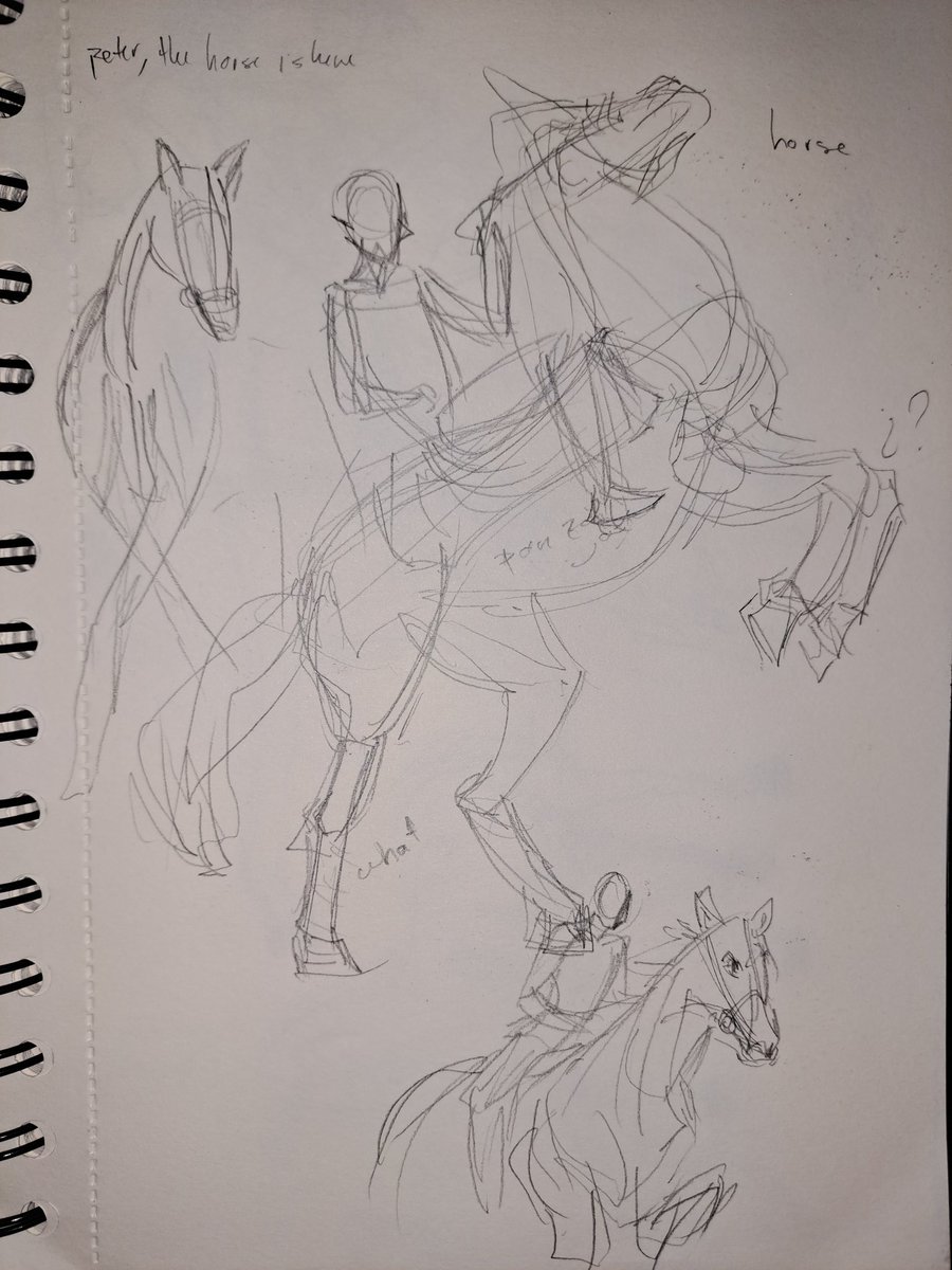 adoadoniis's tweet image. wanted to make an illustration involving a horse, here's some of my studies/sketches trying to understand how on earth they work