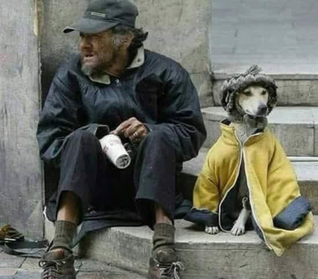 İçinde cennet saklayan virane kullar var..

Mevlana 
#geceye