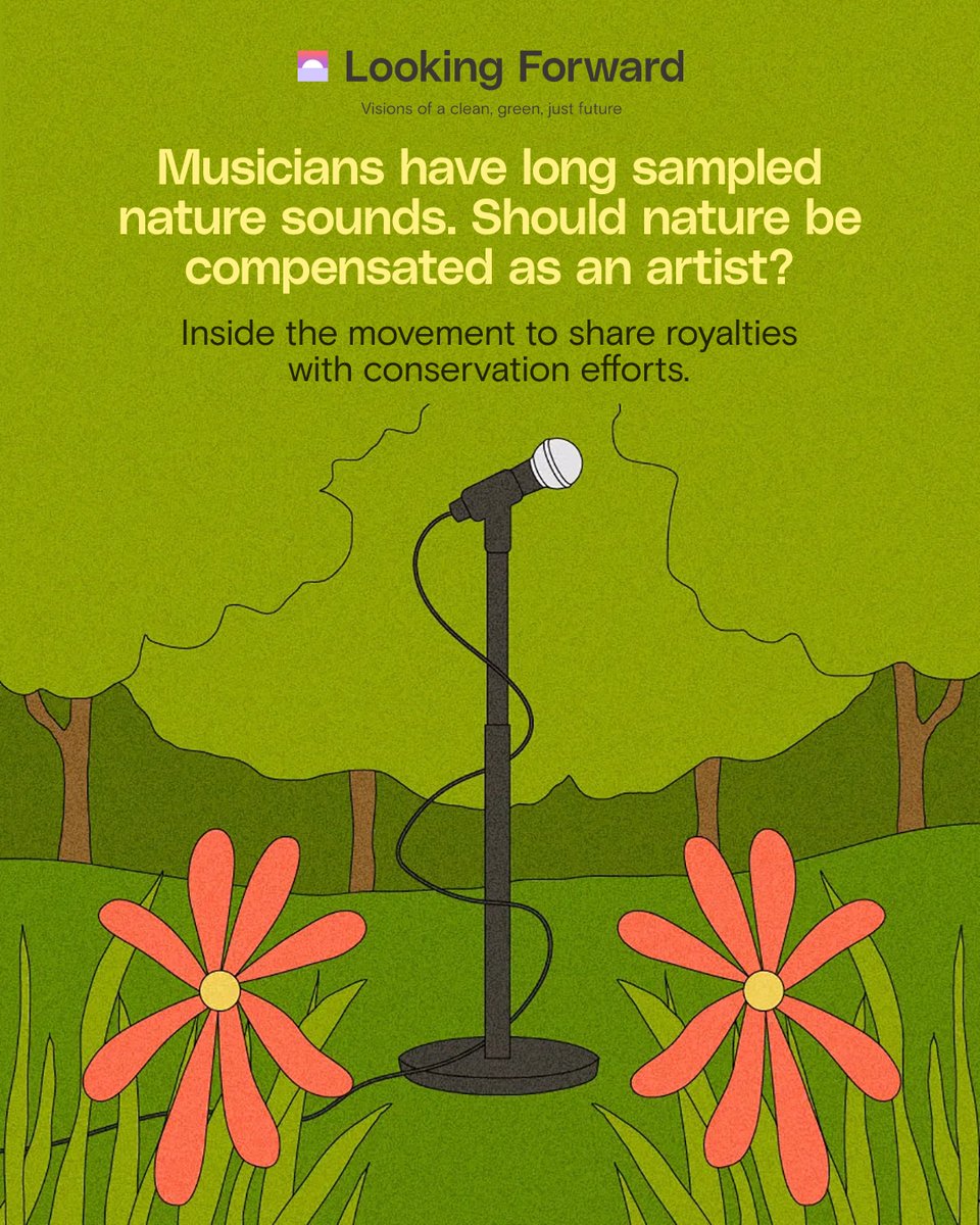 grist's tweet image. Should nature receive royalties when being sampled for music?
A number of musicians and environmentalists have begun raising that — and trying to ensure that its answer is yes.
Read more on the movement to recognize nature as an artist: bit.ly/46U9aqP