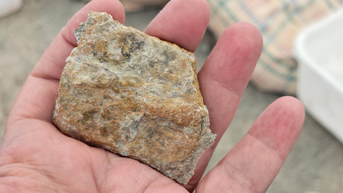 Paleojim's tweet image. Nice croc scute and the biggest turtle costal in Lower Cretaceous of Utah...Who are you?? Interesting.... Isotope geochem opportunity ; you are what you drink. Lots of dinosaurs too.... @utahgeological @BLMUtah @Paleontologizin @CanSVP @stableisotopes
