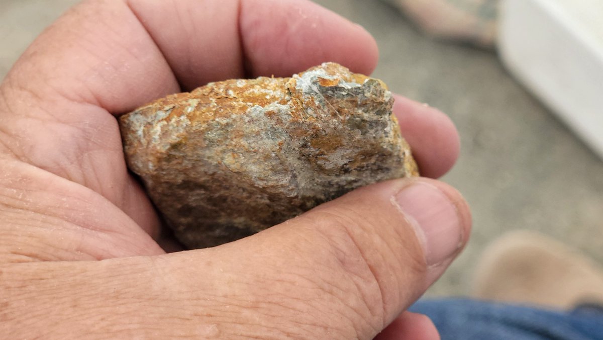Paleojim's tweet image. Nice croc scute and the biggest turtle costal in Lower Cretaceous of Utah...Who are you?? Interesting.... Isotope geochem opportunity ; you are what you drink. Lots of dinosaurs too.... @utahgeological @BLMUtah @Paleontologizin @CanSVP @stableisotopes