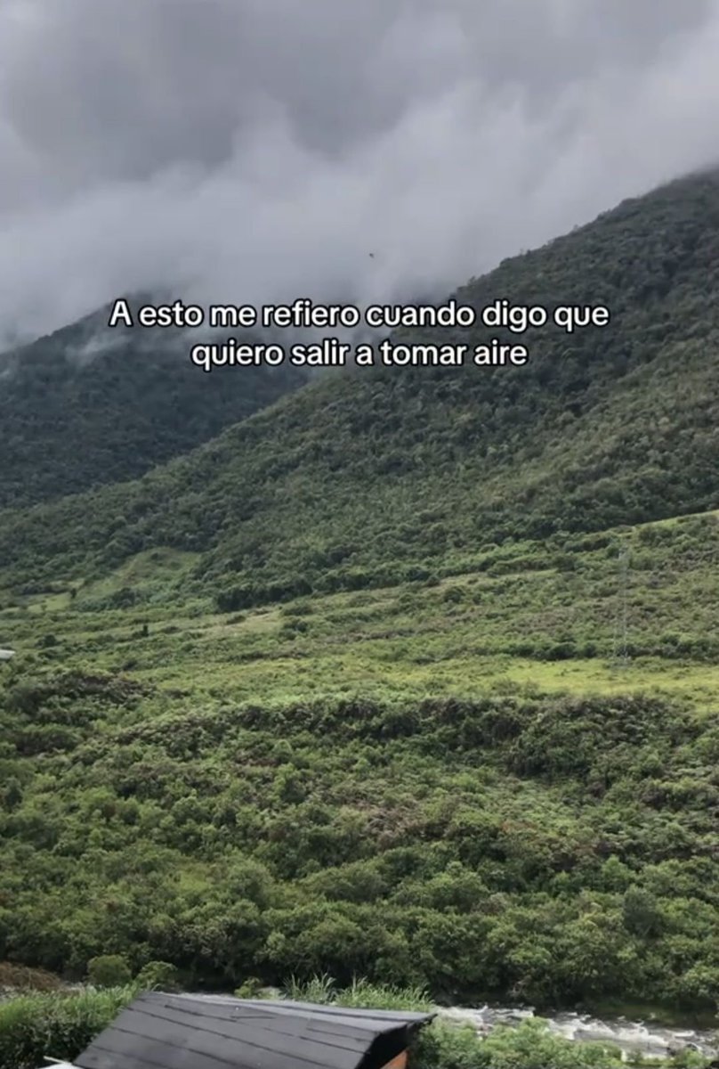 SoyTlaloc's tweet image. 