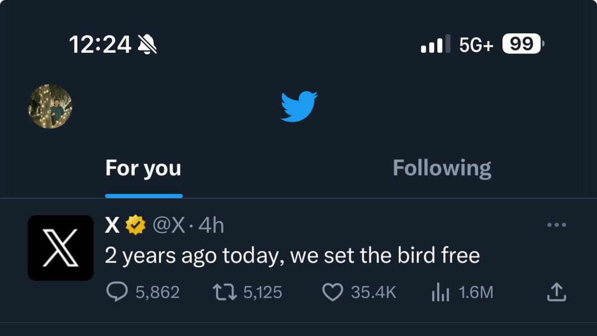 internetsean's tweet image. birds still here for those of us with updates off