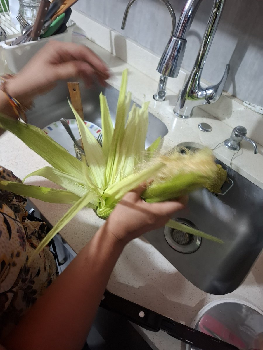 Danimonclou's tweet image. Que alegría cuando compré esta mazorca 🥰 y que desilusión cuando las pelé 😵 jajajaja
Mil horas quitando el afrecho, para encontrarme con ests sorpresita 🤣
