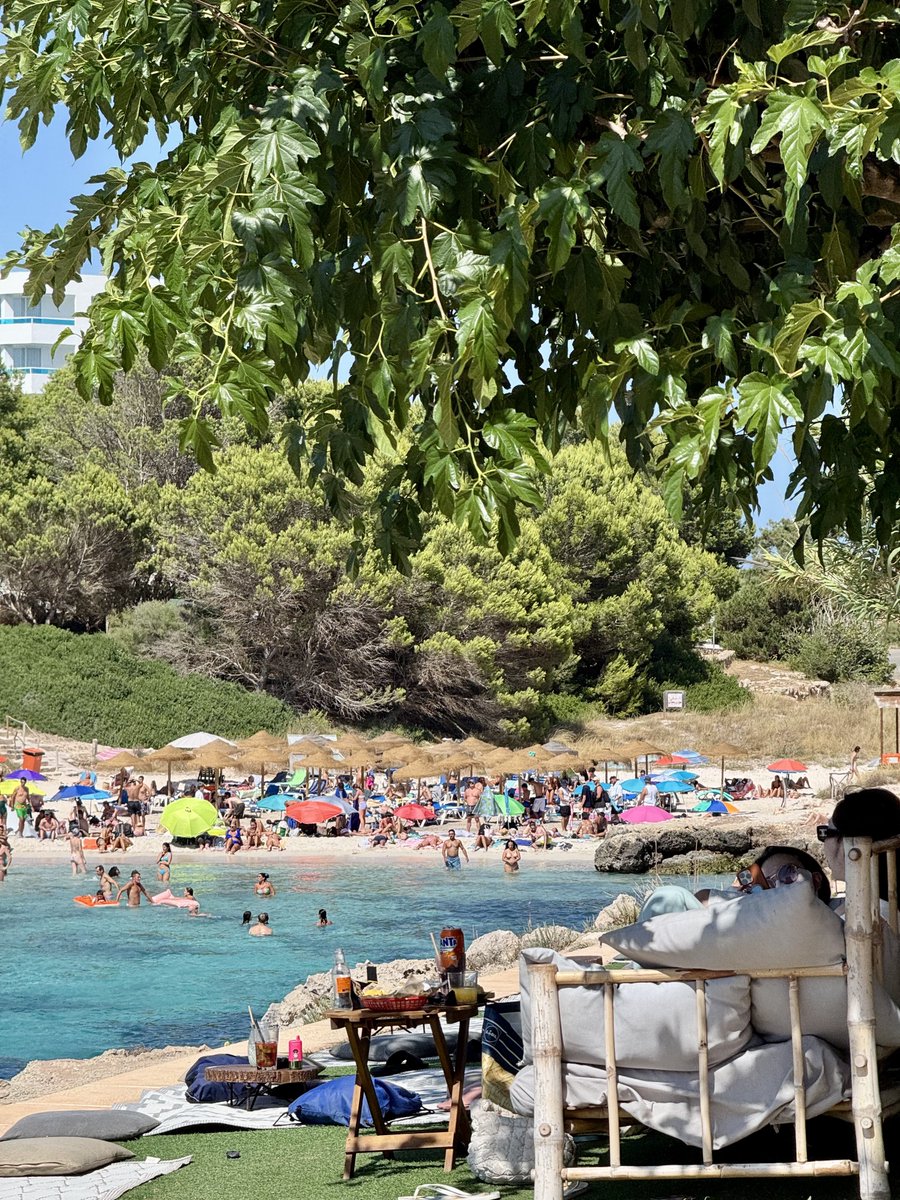 jaylenecook__'s tweet image. 23/07/25 🏝️