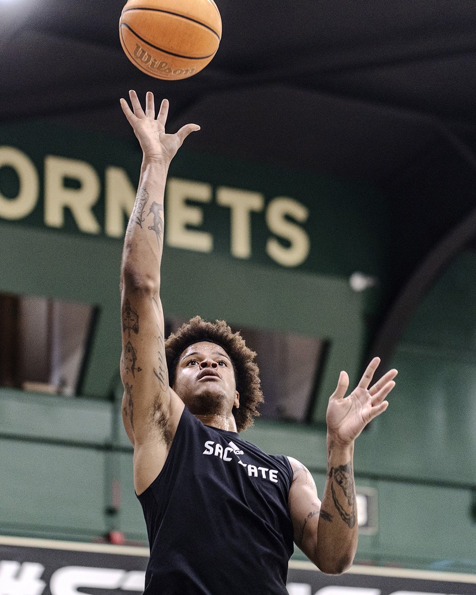 SacHornetsMBB's tweet image. Energy 🆙

#StingersUp