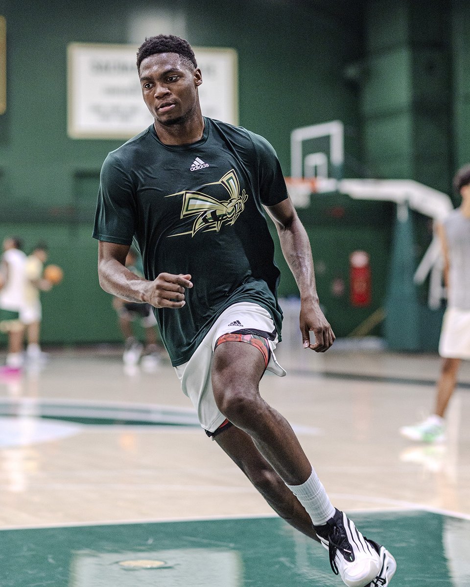 SacHornetsMBB's tweet image. Energy 🆙

#StingersUp