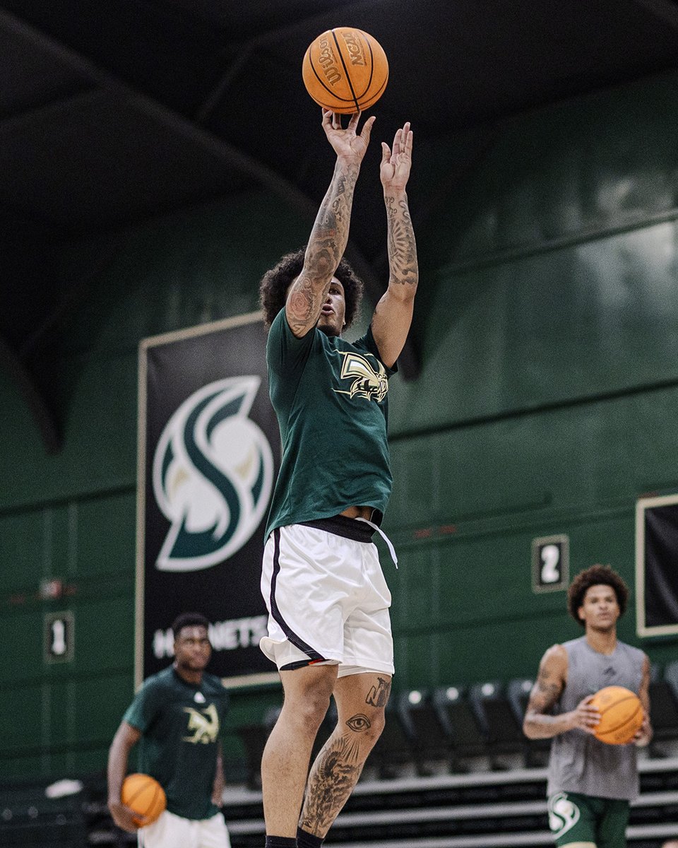 SacHornetsMBB's tweet image. Energy 🆙

#StingersUp