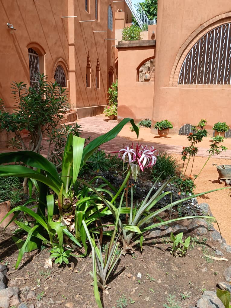 Brunch du Djoliba Lodge 
‐----------------------------------------
Détente et dépaysement en plein cœur de #Niamey, le dimanche à partir de 11h.
Sur réservation uniquement, places limitées. 
Contact : 90009773
Jeux de sociétés disponibles
 
djoliba-lodge.net