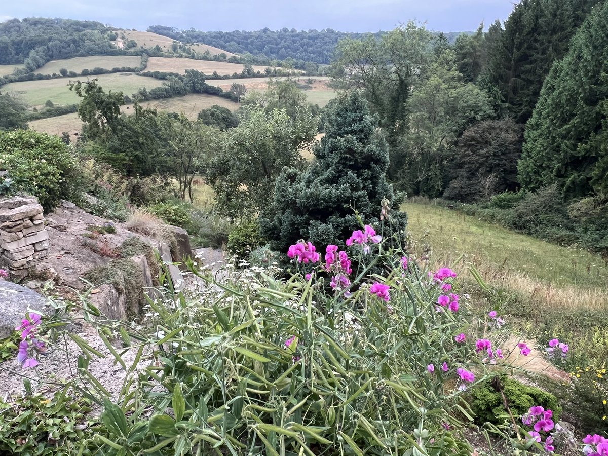 sue_wilkinson's tweet image. Unexpected literary - and gastronomic - tourism passing through the Gloucestershire village of Slad, where Laurie Lee spent much of his life. 1st pic is the memorial window in the church, the food is at his local, The Woolpack