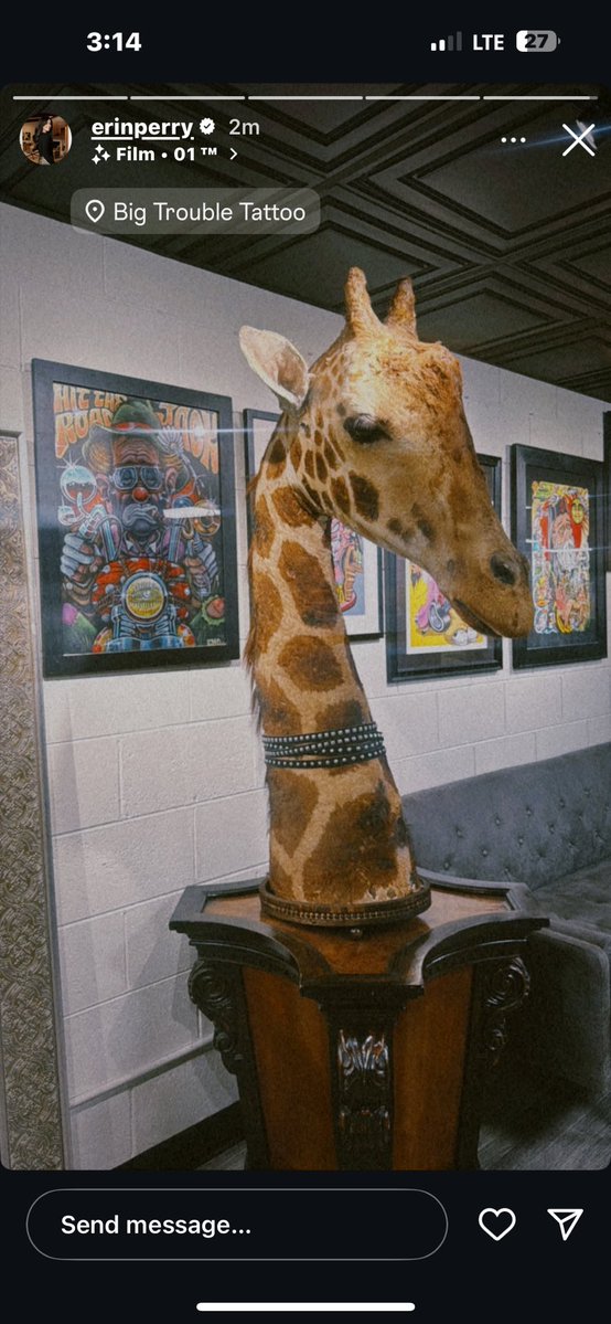 ponyterryxx's tweet image. WHOS GETTING TATTED, TONY OR ERIN🤤