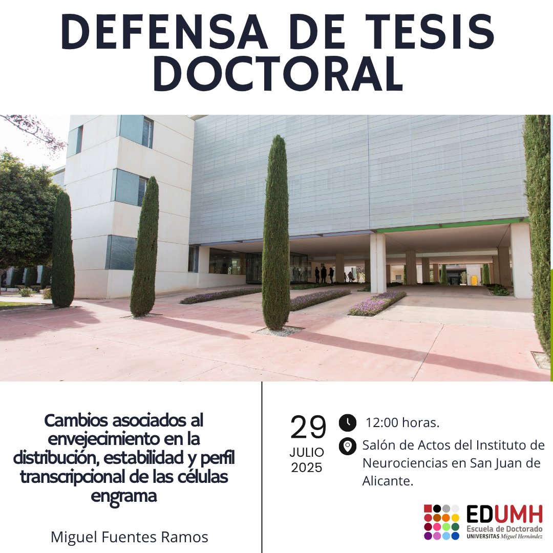 Escuela de Doctorado UMH (@doctorado_umh) on Twitter photo 🎓 Miguel Fuentes Ramos defiende su tesis:
“Aging-dependent changes in the distribution, stability, and transcriptional signature of engram cells.”
#DefensaTesis #DoctoradoUMH #Neurociencias #EngramCells #EDUMH <a href="/NeuroAlc/">Instituto de Neurociencias UMH-CSIC</a> 🎓 Miguel Fuentes Ramos defiende su tesis:
“Aging-dependent changes in the distribution, stability, and transcriptional signature of engram cells.”
#DefensaTesis #DoctoradoUMH #Neurociencias #EngramCells #EDUMH <a href="/NeuroAlc/">Instituto de Neurociencias UMH-CSIC</a>