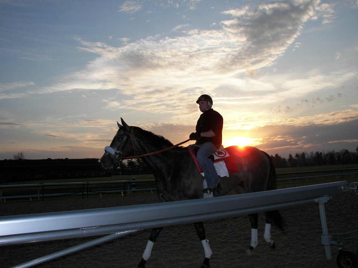 Grayson_JC's tweet image. Still time to support the Annual Day of Giving.
Every dollar donated to @BreedersCup Charities will be matched up to $100K for the Annual Day of Giving!
Join us and donate now: breederscup.com/charities