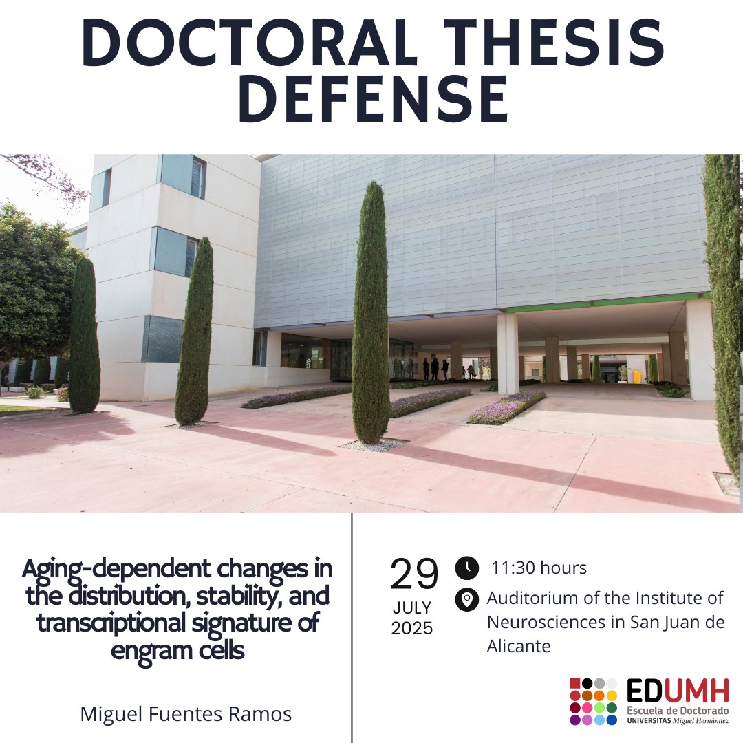 Escuela de Doctorado UMH (@doctorado_umh) on Twitter photo 🎓 Miguel Fuentes Ramos defends his thesis:
“Aging-dependent changes in the distribution, stability, and transcriptional signature of engram cells.”
#ThesisDefense #UMHDoctorate #Neuroscience #EngramCells #EDUMH <a href="/NeuroAlc/">Instituto de Neurociencias UMH-CSIC</a> 🎓 Miguel Fuentes Ramos defends his thesis:
“Aging-dependent changes in the distribution, stability, and transcriptional signature of engram cells.”
#ThesisDefense #UMHDoctorate #Neuroscience #EngramCells #EDUMH <a href="/NeuroAlc/">Instituto de Neurociencias UMH-CSIC</a>