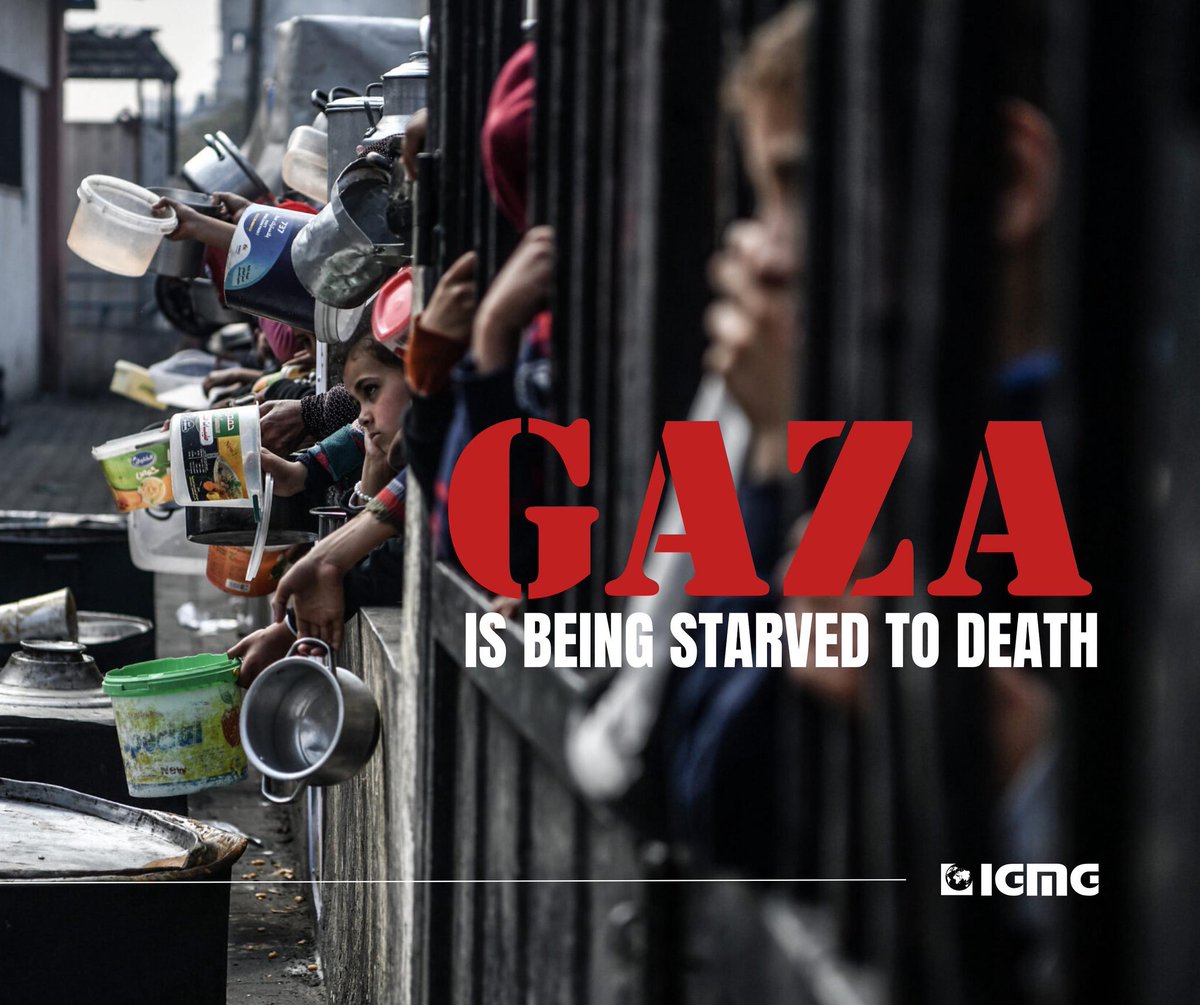 🇹🇷 #Gazze’de insanlık can çekişiyor. Yüz binlerce insan, göz göre göre açlığa mahkum edildi. Gıda var ama ulaştırılmıyor. İnsanlar bir dilim ekmek için saatlerce beklerken hayatlarını kaybediyor. Açlık bir silaha, savaş ise çoktan bir soykırıma dönüşmüş durumda. Tüm bunlar