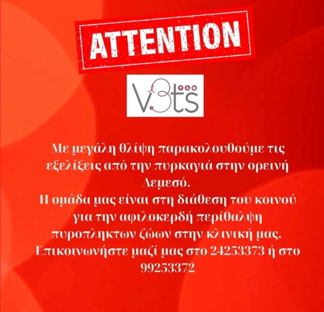 Elsavva1's tweet image. 