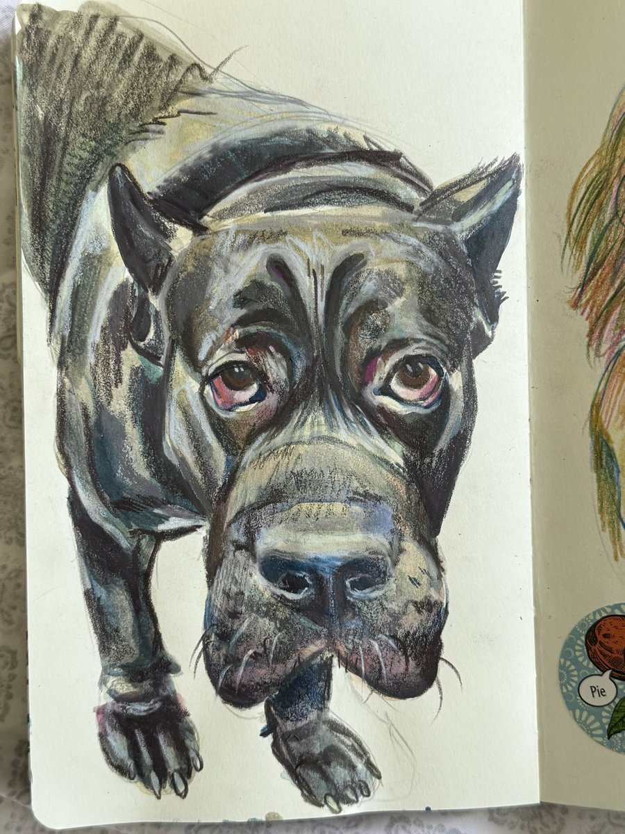 wickedcryptid69's tweet image. Sketchbook highlights