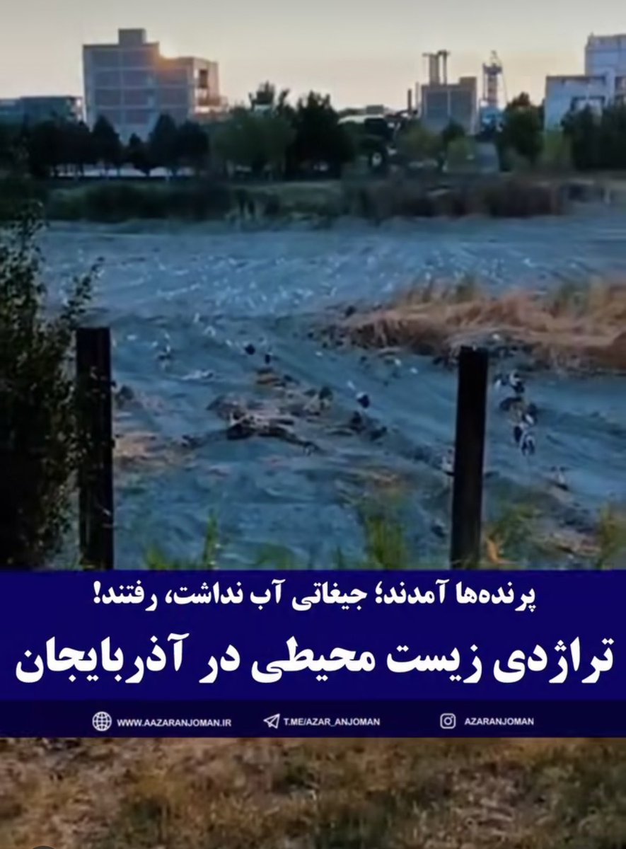 LeylaAkson's tweet image. قوش‌لار گلدیلر،
سو یوخویدو،
قئییتدیلر
#جیغاتی