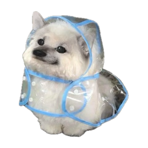 <a href="/giorgig31418111/">Georgian warrior in Ukraine🇬🇪(young)🇺🇦</a> wow!!! great increase today! 🥰🫂