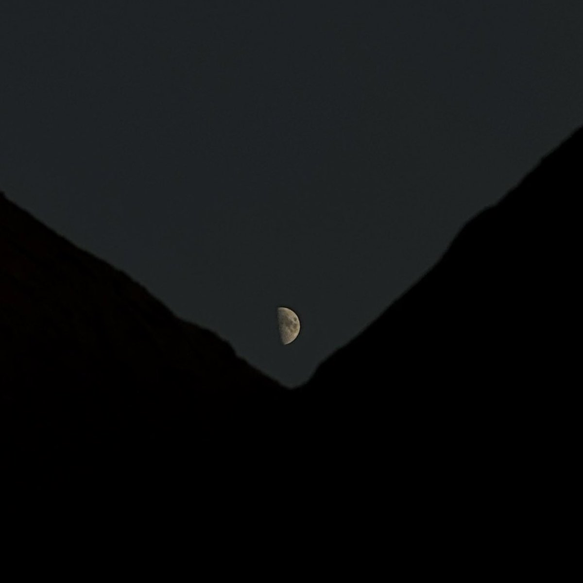 lsky38's tweet image. to the Moon 💌