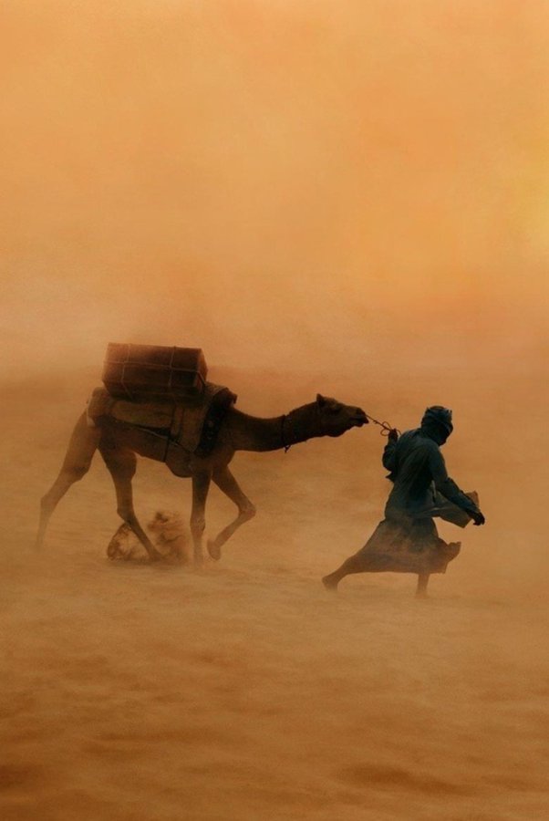 thepainterflynn's tweet image. And the night shall be filled with music,. And the cares, that infest the day,. Shall fold their tents, like the Arabs,. And as silently steal away...