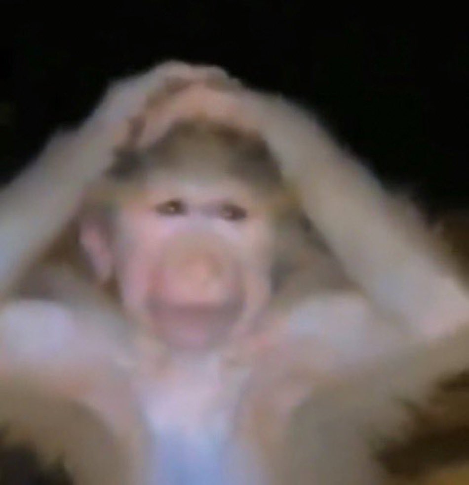 gretch_brown's tweet image. i know im gonna miss summer but im sick of it bein so hot i cant sleep