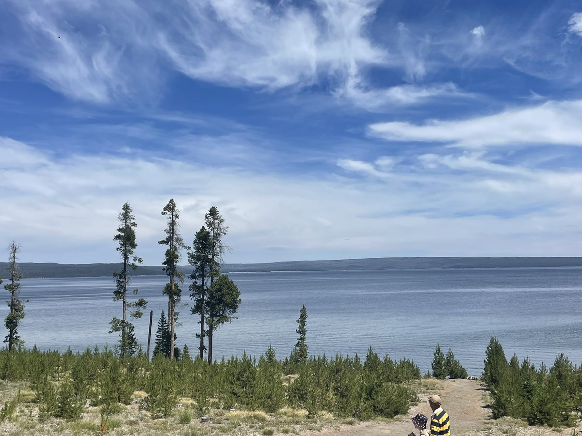 Tyler Chapman 2024 LHP 1B RF Jan 2006 GPA 3.9 tweet media